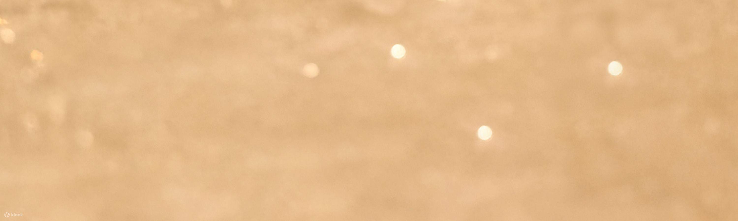 크리스마스 이브 메뉴 참고 이미지